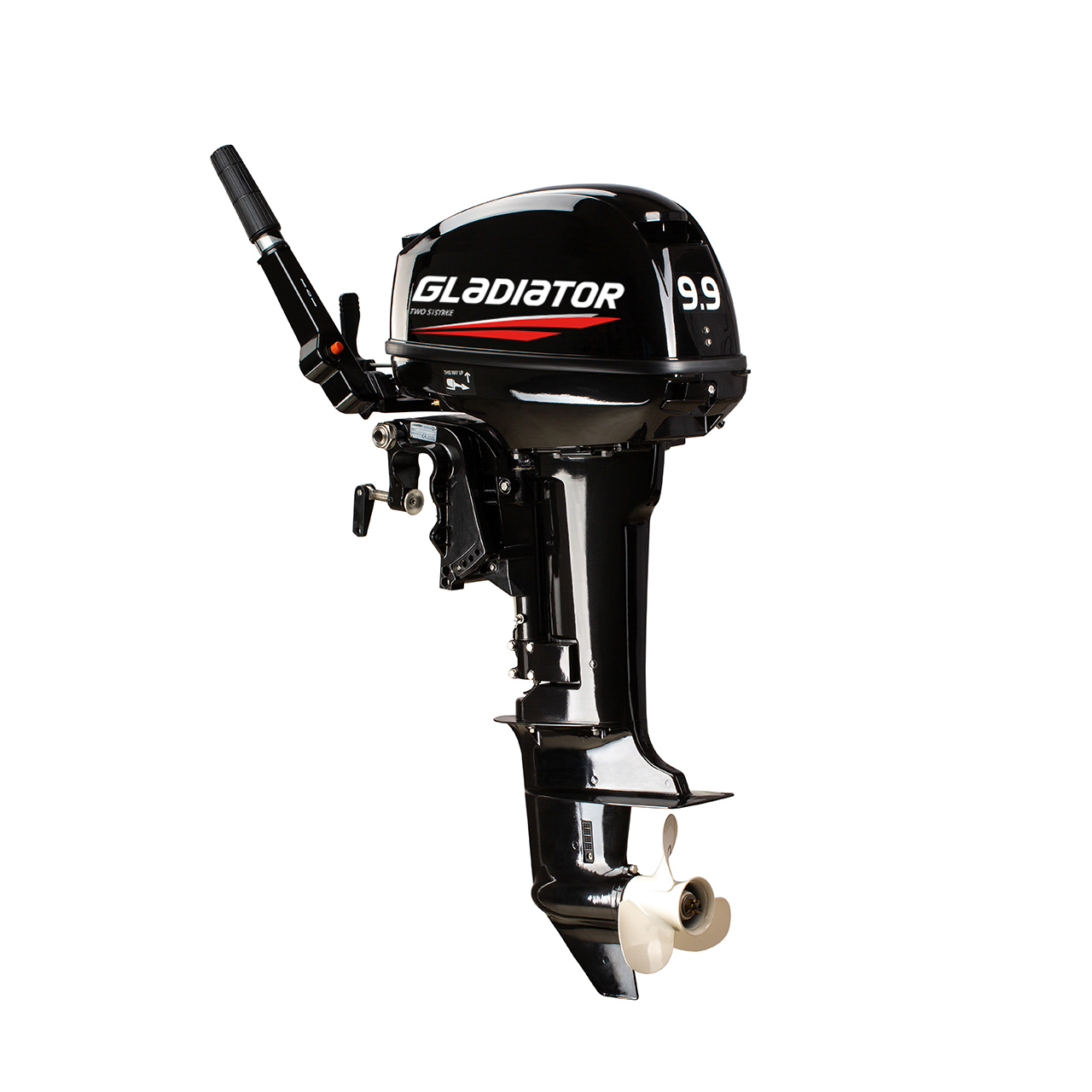 ЛОДОЧНЫЙ МОТОР GLADIATOR G9.9FHS в Брянске