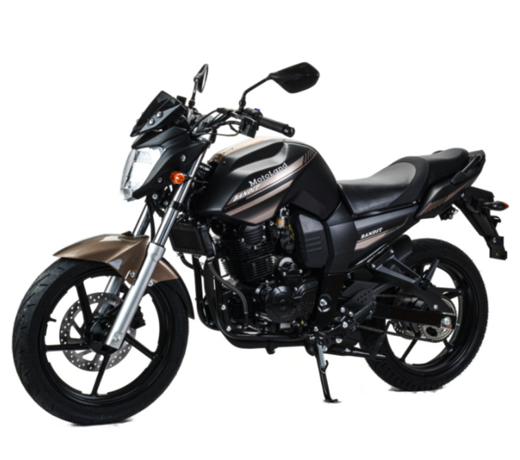 Мотоцикл MOTOLAND (МОТОЛЕНД) 300 BANDIT в Брянске