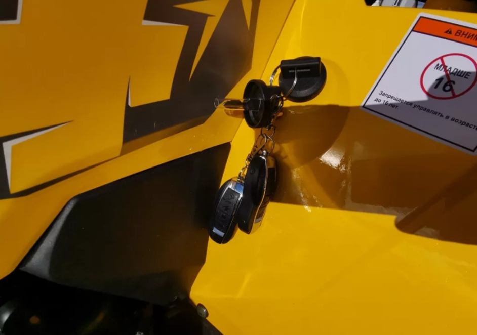 Квадроцикл MOTOLAND (МОТОЛЕНД) VOX200 WILD TRACK X PRO (баланс. вал) в Брянске