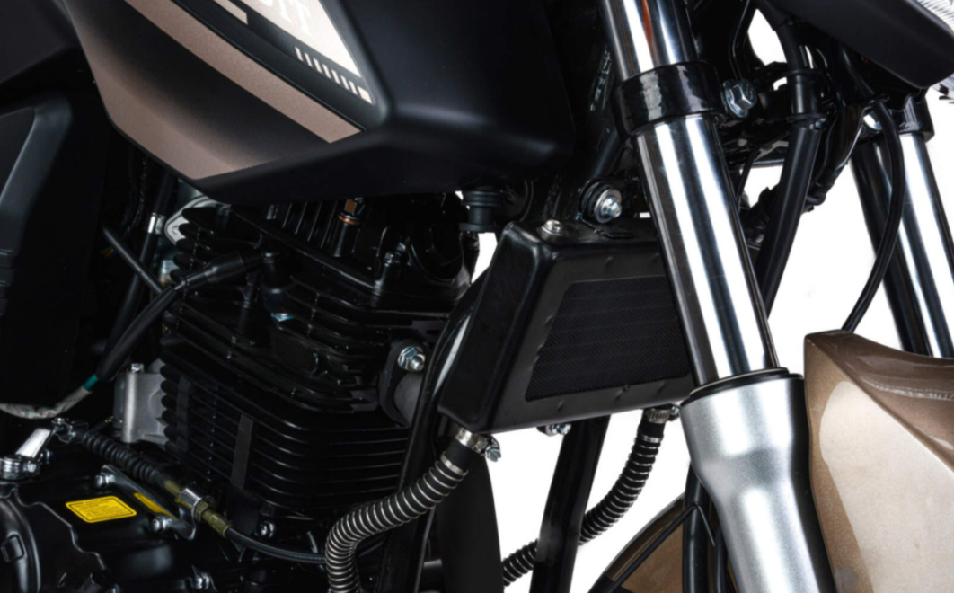 Мотоцикл MOTOLAND (МОТОЛЕНД) 300 BANDIT в Брянске