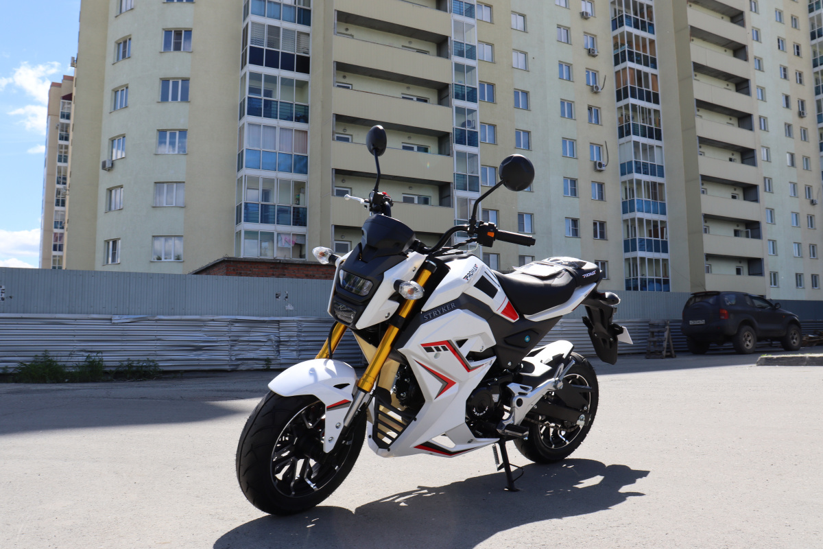 Мотоцикл PROMAX STRYKER 200(49) 2.0 в Брянске