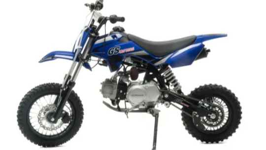 Питбайк MOTOLAND (МОТОЛЕНД) GS Motors S11 в Брянске