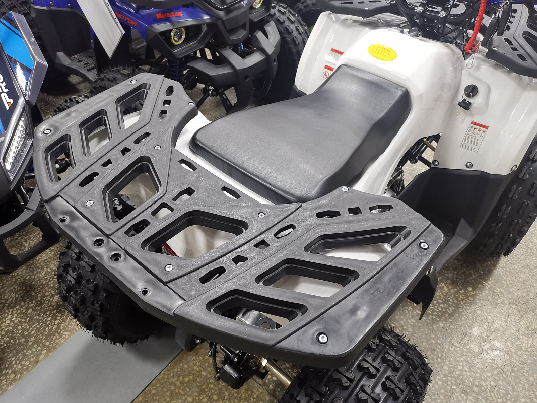 Квадроцикл PROMAX WILD 175 LUX в Брянске