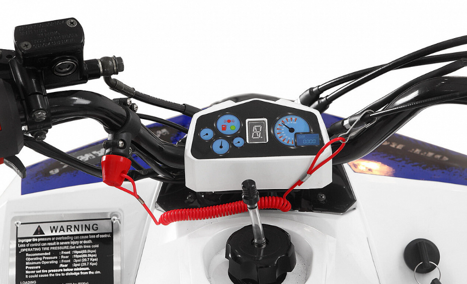 Квадроцикл Yacota Raposa PRO-SPORT в Брянске