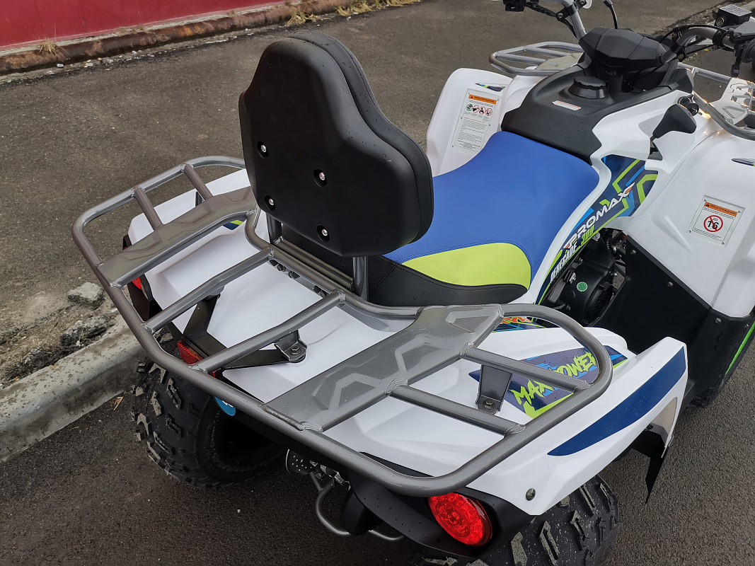 Квадроцикл PROMAX RENEGADE 280 LUX (2025) в Брянске