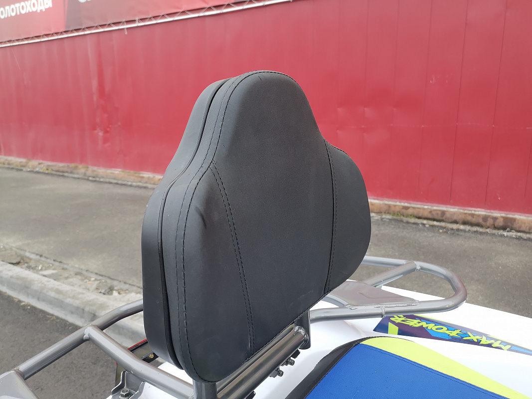 Квадроцикл PROMAX RENEGADE 280 LUX (2025) в Брянске