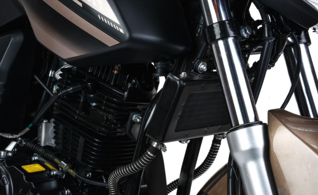 Мотоцикл MOTOLAND (МОТОЛЕНД) 300 BANDIT в Брянске