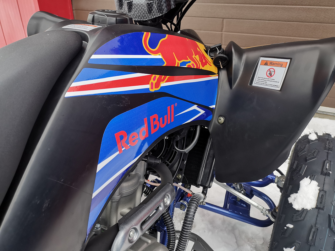 Квадроцикл PROMAX RAPTOR 300 NEW RedBull в Брянске