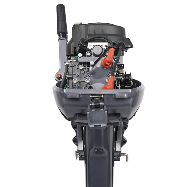 ЛОДОЧНЫЙ МОТОР ALLFA CG Т9,9 в Брянске