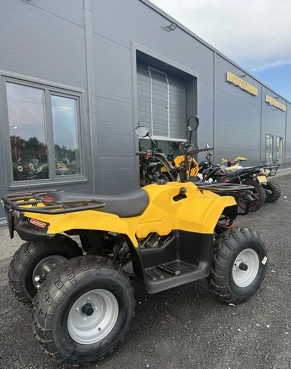 КВАДРОЦИКЛ IRBIS ATV 250  в Брянске