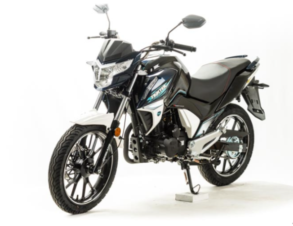 Мотоцикл MOTOLAND (МОТОЛЕНД) FIGHTER 250 в Брянске