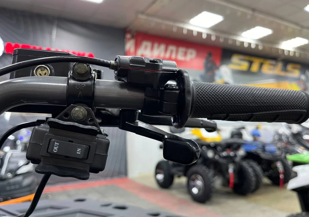 Квадроцикл PROMAX RENEGADE 300 LONG WINCH PRO (2025) в Брянске