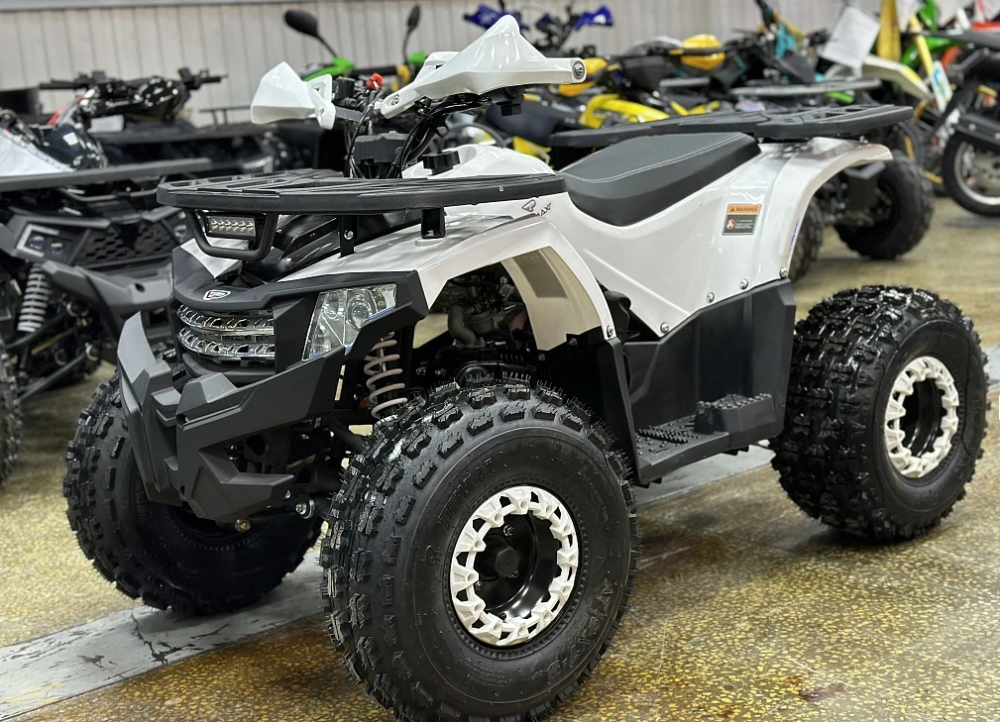 Квадроцикл PROMAX WILD 2.0 190 в Брянске