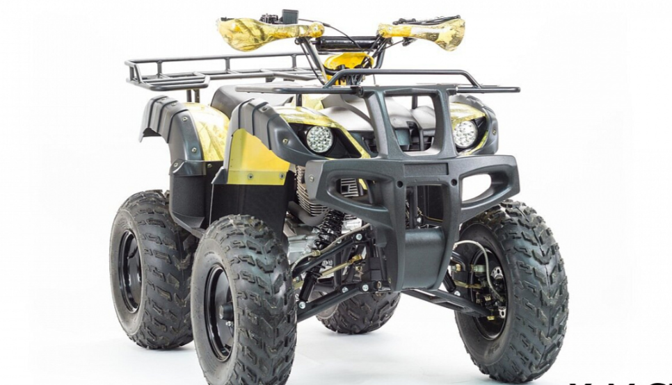 Квадроцикл MOTOLAND (МОТОЛЕНД) 250 ADVENTURE в Брянске