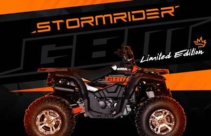 Квадроцикл GBM STORMRIDER 320 NEW LUX в Брянске