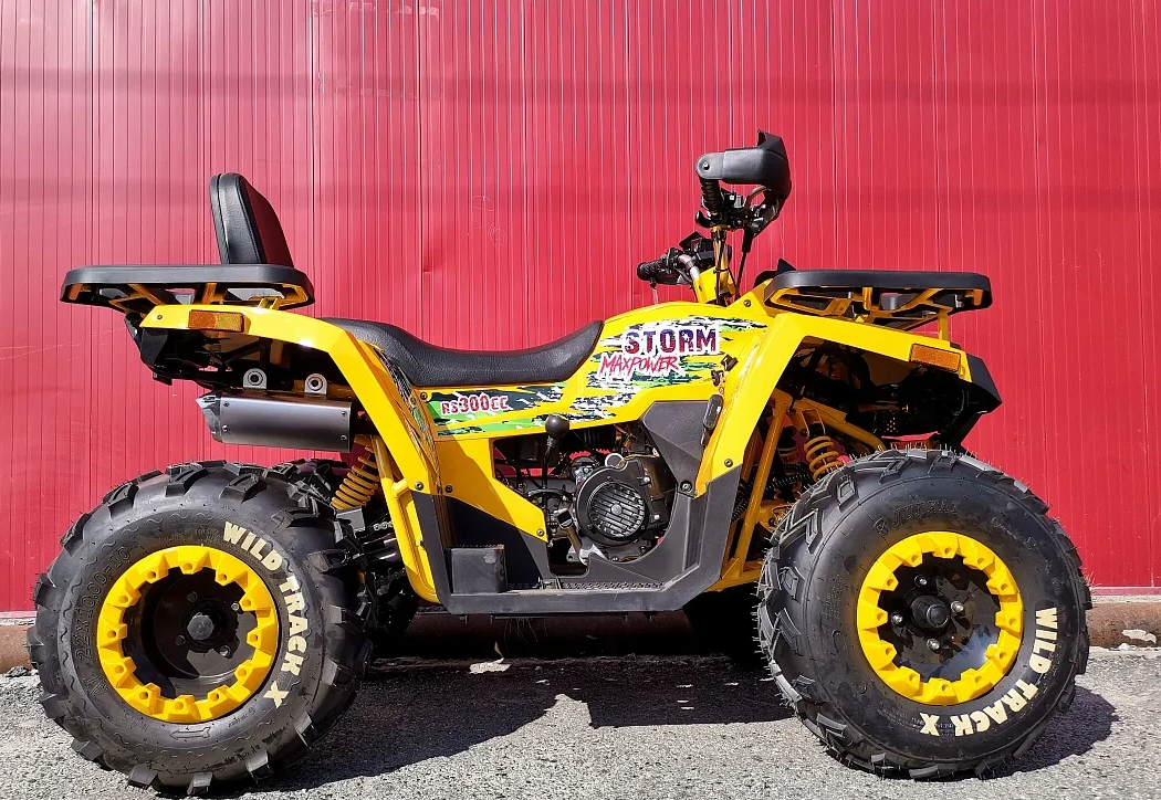 Квадроцикл PROMAX STORM 280 LUX в Брянске