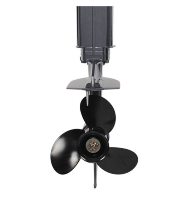 Лодочный мотор ALLFA CG Т40FW S в Брянске