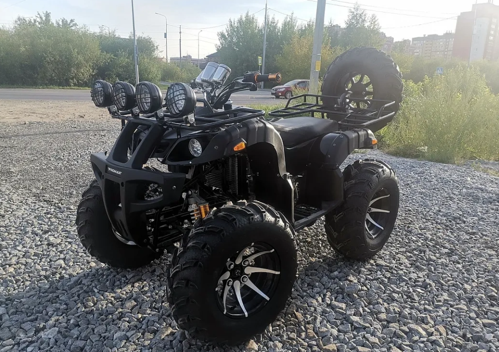 Квадроцикл PROMAX LEO 300 Max (кардан) в Брянске
