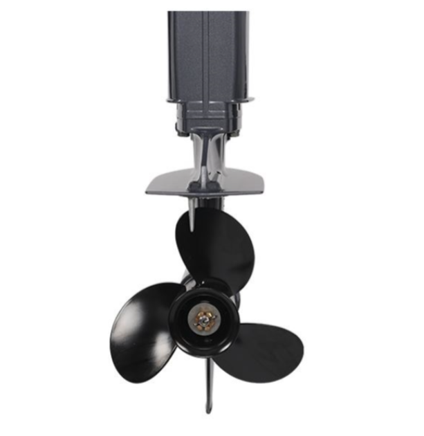 Лодочный мотор ALLFA CG Т40FWT S в Брянске