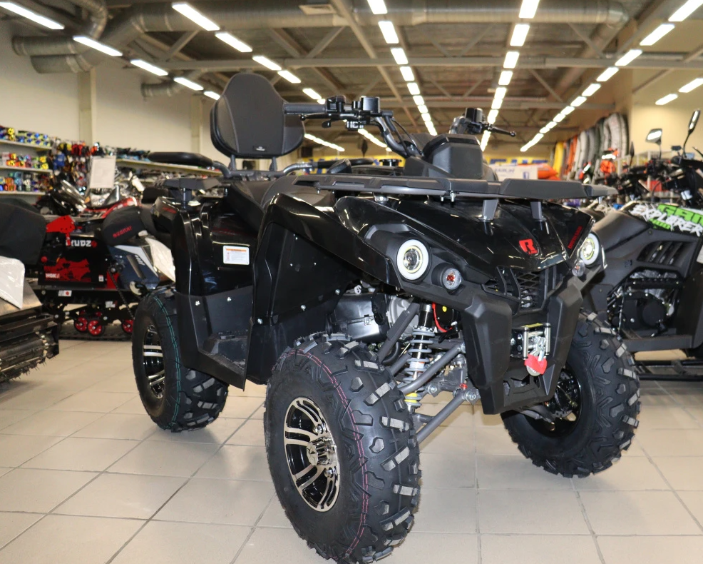 Квадроцикл PROMAX RENEGADE 300 LONG WINCH PRO (2025) в Брянске