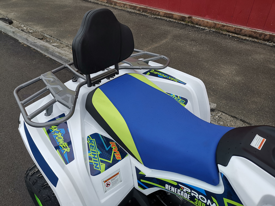 Квадроцикл PROMAX RENEGADE 280 LUX (2025) в Брянске