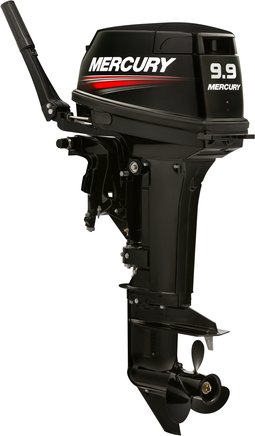 ЛОДОЧНЫЙ МОТОР MERCURY 9.9 MH TMC 247 CC в Брянске