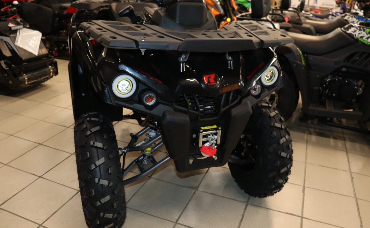 Квадроцикл PROMAX RENEGADE 300 LONG WINCH PRO (2025) в Брянске
