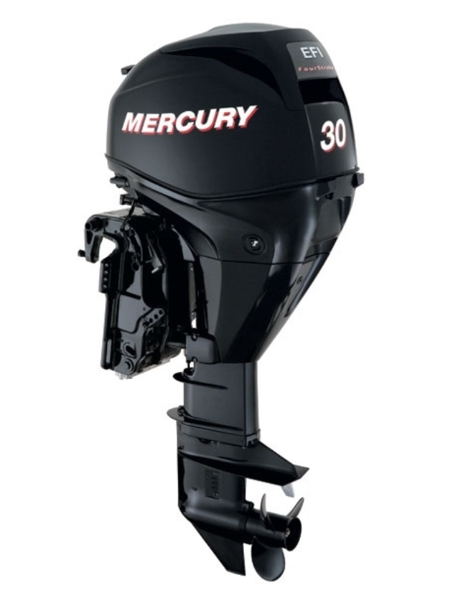 ЛОДОЧНЫЙ МОТОР MERCURY  F 30 ELH GA EFI в Брянске