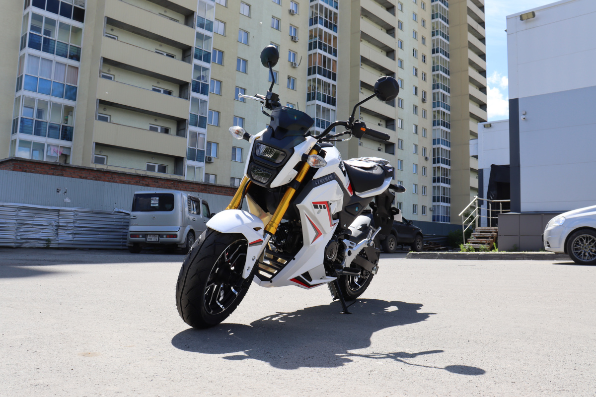 Мотоцикл PROMAX STRYKER 200(49) 2.0 в Брянске