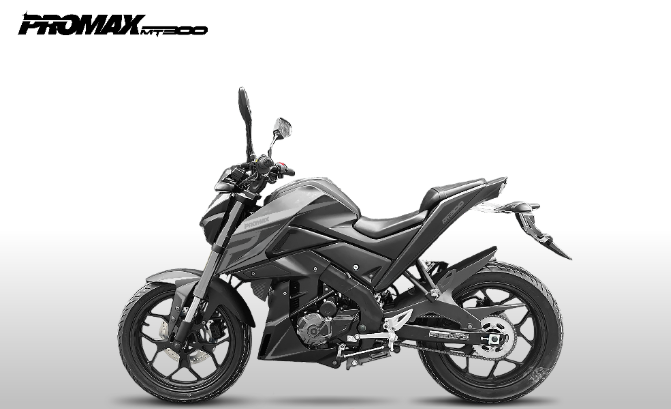 Мотоцикл PROMAX MT300 в Брянске