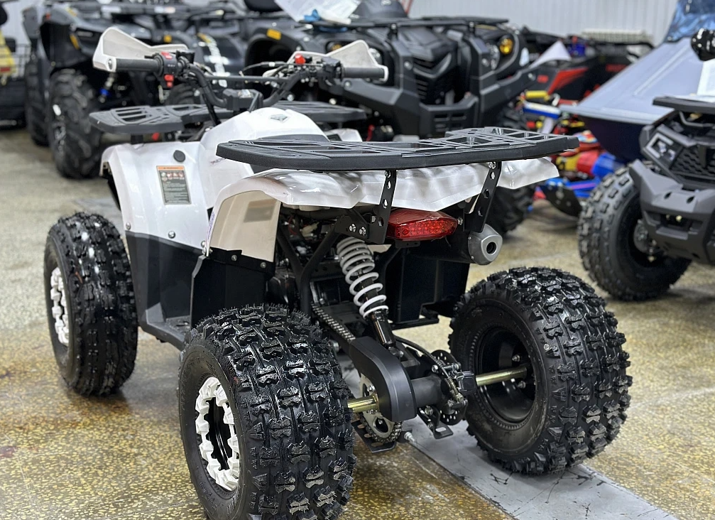 Квадроцикл PROMAX WILD 2.0 190 в Брянске