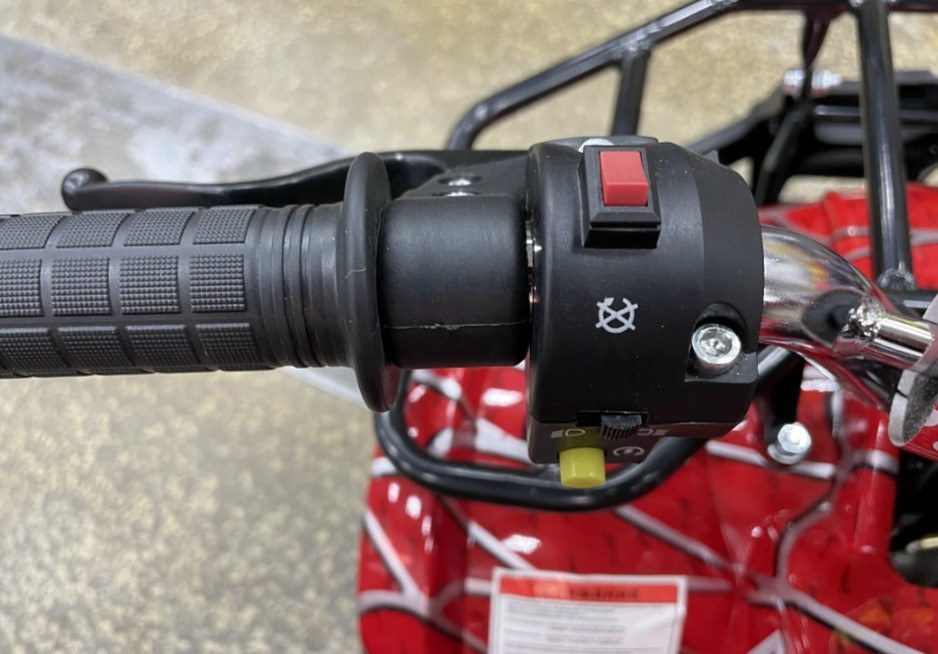 Квадроцикл PROMAX ATV MINI 2T 70CC р/с в Брянске