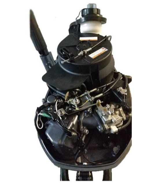 Лодочный мотор ALLFA CG F6 в Брянске