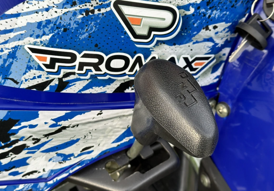  Квадроцикл PROMAX ATV 250 MAX (2025) в Брянске