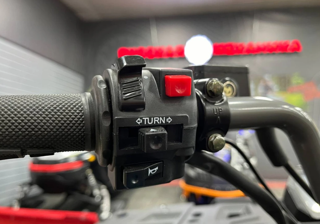 Квадроцикл PROMAX RENEGADE 300 LONG WINCH PRO (2025) в Брянске