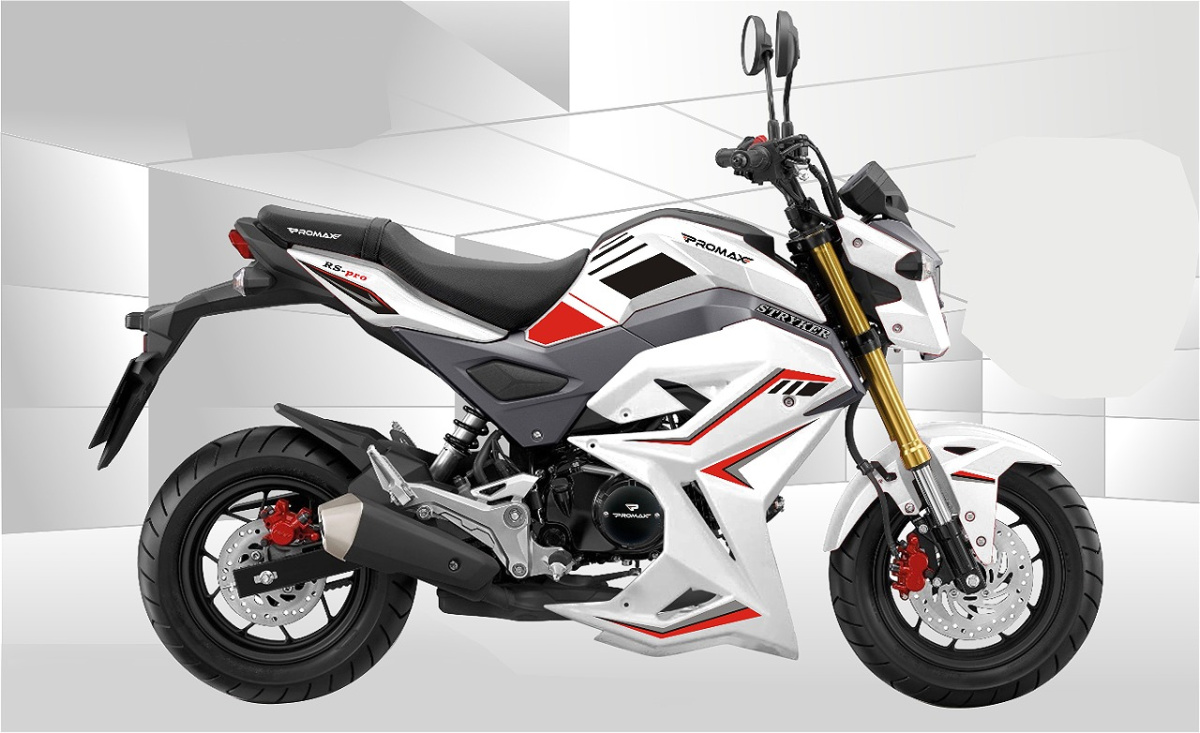 Мотоцикл PROMAX STRYKER 200(49) 2.0 в Брянске