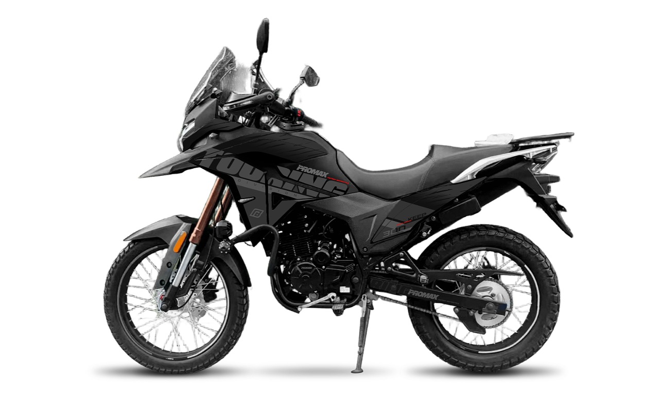 Мотоцикл PROMAX TOURING PR300 PRO (5 GEAR) в Брянске