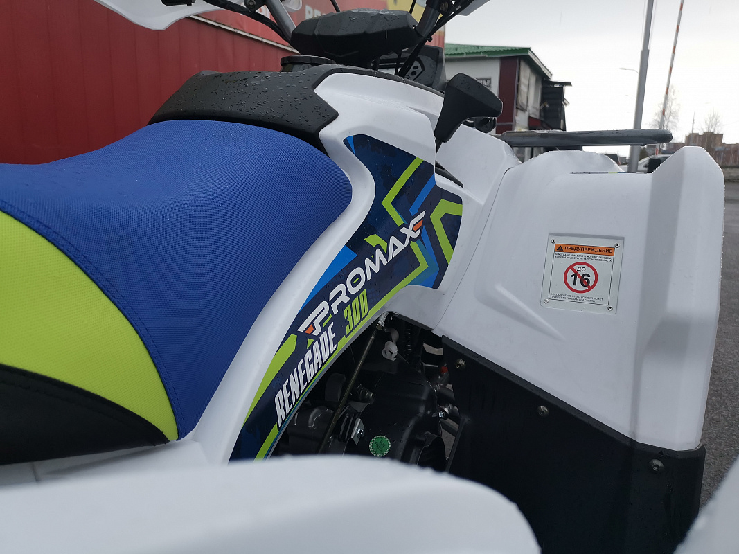 Квадроцикл PROMAX RENEGADE 280 LUX (2025) в Брянске