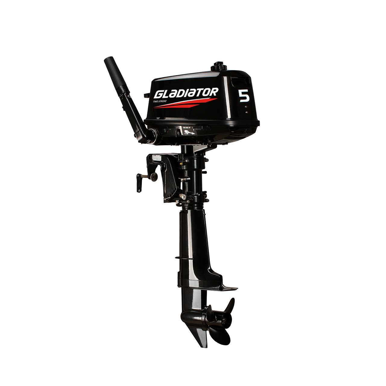 ЛОДОЧНЫЙ МОТОР GLADIATOR G5FHS в Брянске