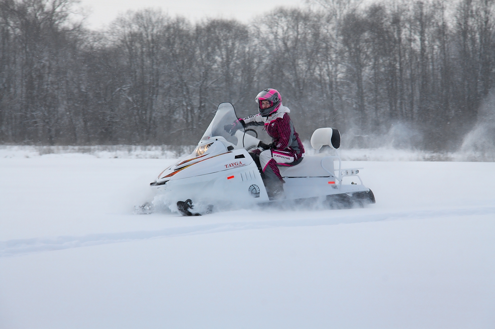 СНЕГОХОД РМ ТАЙГА ПАТРУЛЬ 551 SWT в Брянске СНЕГОХОД РМ ТАЙГА ПАТРУЛЬ 551 SWT в Брянске