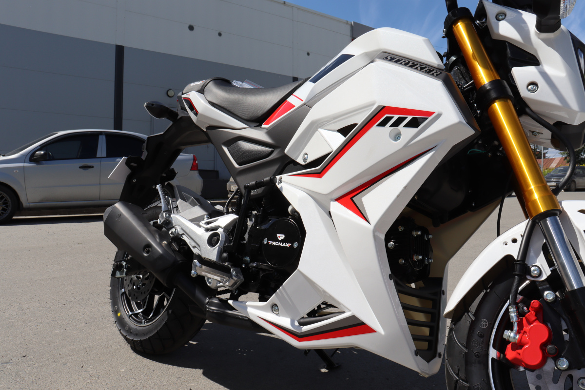 Мотоцикл PROMAX STRYKER 200(49) 2.0 в Брянске