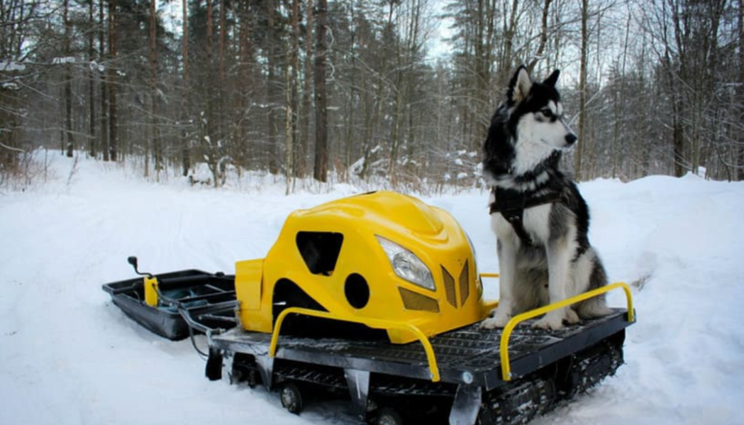 Мотобуксировщик LEBEDEV MOTORS ВОЛКОДАВ POWER V13 в Брянске
