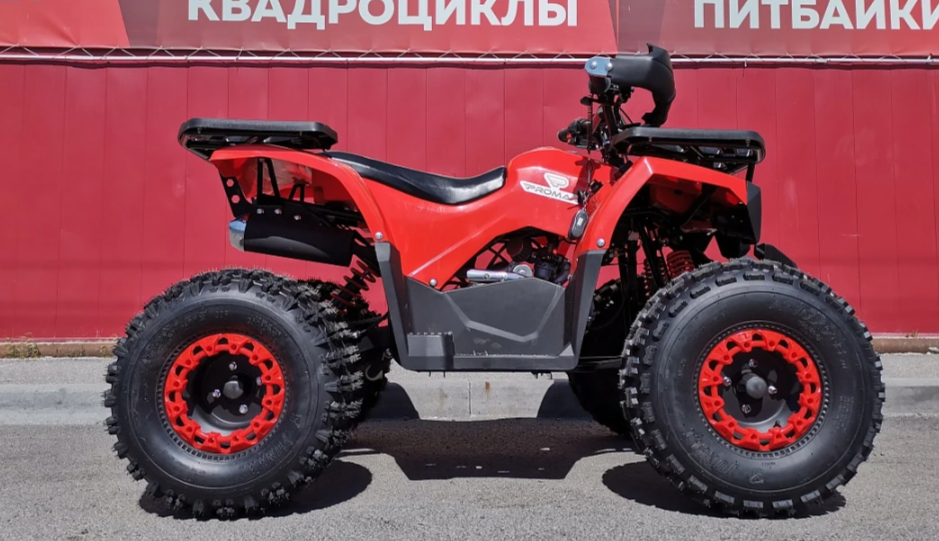 Квадроцикл PROMAX WILD 175 BASIC в Брянске