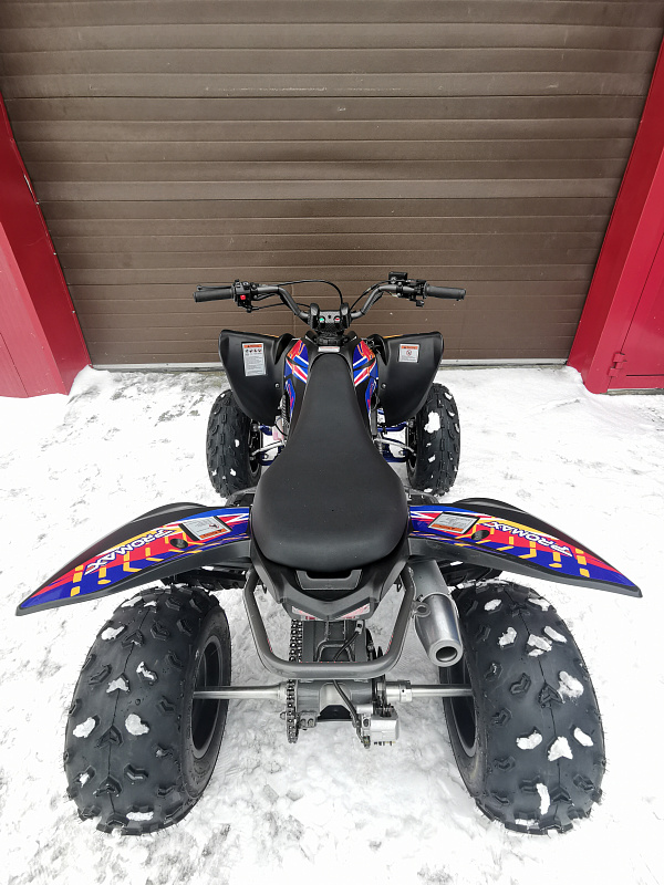 Квадроцикл PROMAX RAPTOR 300 NEW RedBull в Брянске