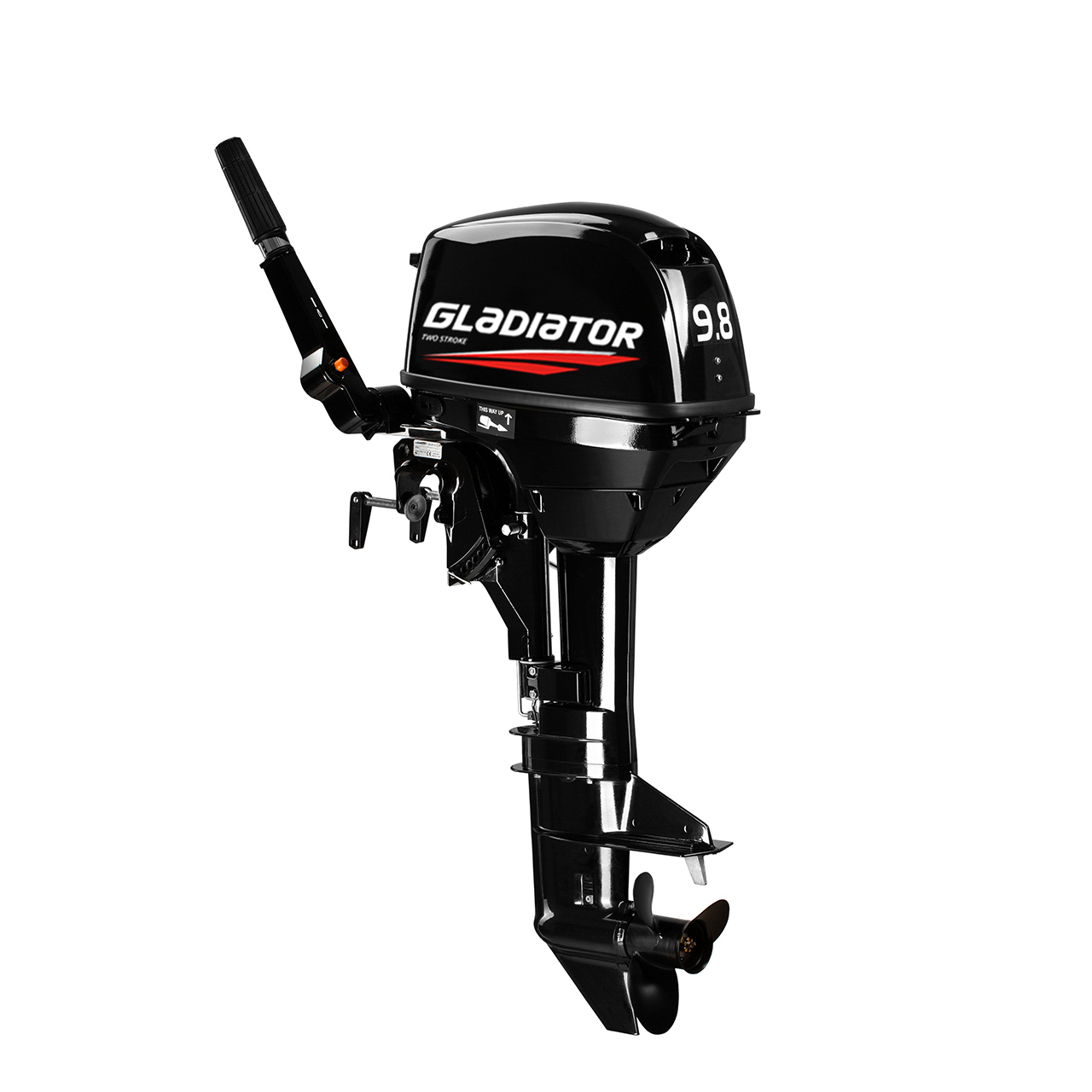 ЛОДОЧНЫЙ МОТОР GLADIATOR G9.8FHS в Брянске