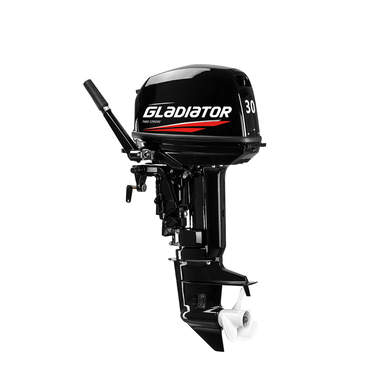 ЛОДОЧНЫЙ МОТОР GLADIATOR G30FHS в Брянске