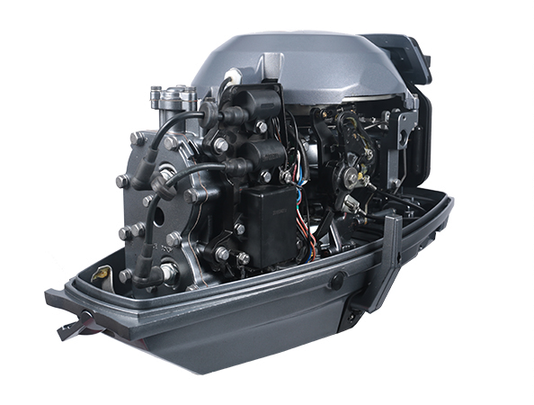 ЛОДОЧНЫЙ МОТОР ALLFA CG T30 FW S в Брянске