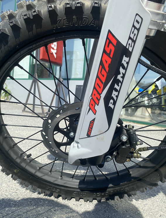 Мотоцикл Progasi PALMA 300 NEW (CB300F) в Брянске