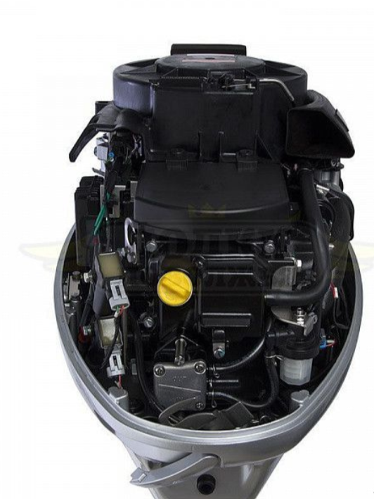 Лодочный мотор SEANOVO SNEF30FEL-EFI в Брянске