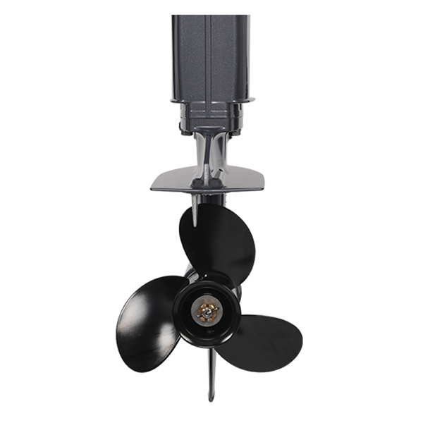 ЛОДОЧНЫЙ МОТОР ALLFA CG T30 FW S в Брянске